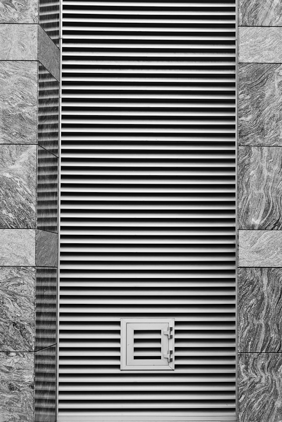 _DSC3556
