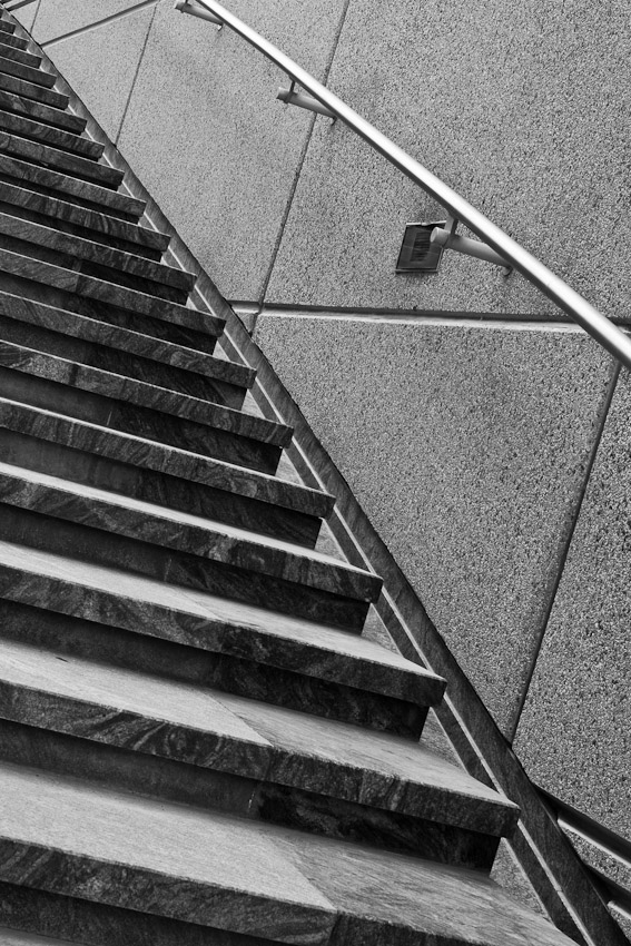 _DSC5534
